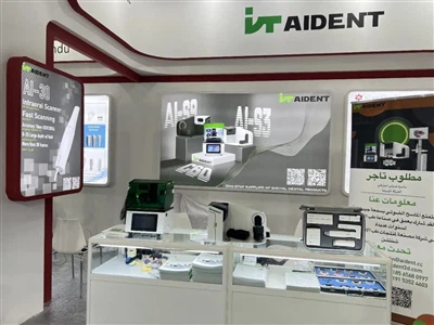 Goodbye Dubai, Pom Koj Yav Tom Ntej